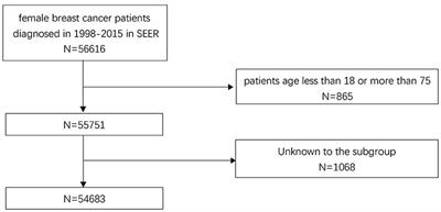 Research on the Role of Marriage Status Among Women Underwent Breast Reconstruction Following Mastectomy: A Competing Risk Analysis Model Based on the SEER Database, 1998–2015